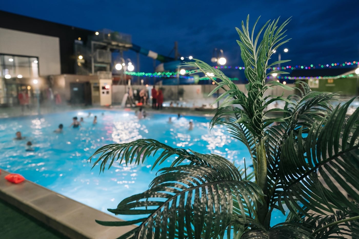 3 ЯНВАРЯ ‍ SPA-курорт «КАЛУЖСКИЕ ТЕРМЫ»