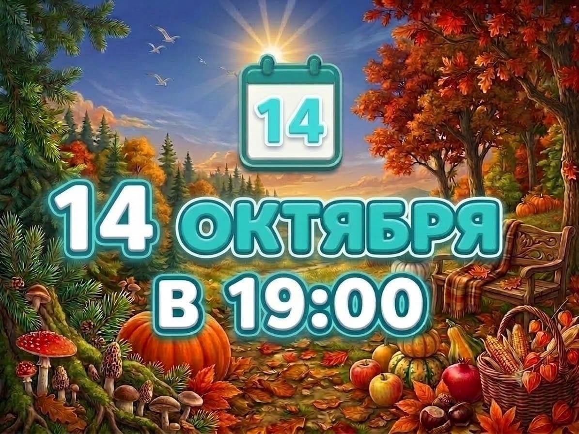 СИЛА В ГАРМОНИИ: РАЙОННЫЕ СОРЕВНОВАНИЯ ПО АЙКИДО «АКАТОМБО КАЙКАН»!