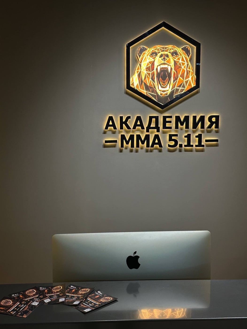АКАДЕМИЯ ММА 5.11 | МЕСТО СИЛЫ — ОТКРЫТА