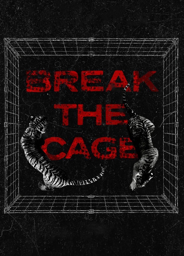Концерт «Break the Cage»