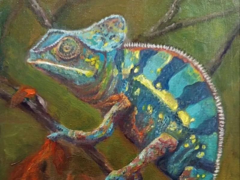 Мастер-класс по рисованию для взрослых «Хамелеон на миллион»