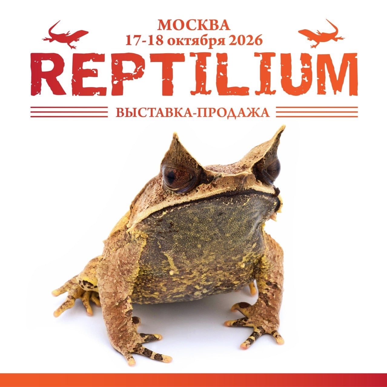 17–18 октября, Москва, Main Stage, м. Волгоградский проспект