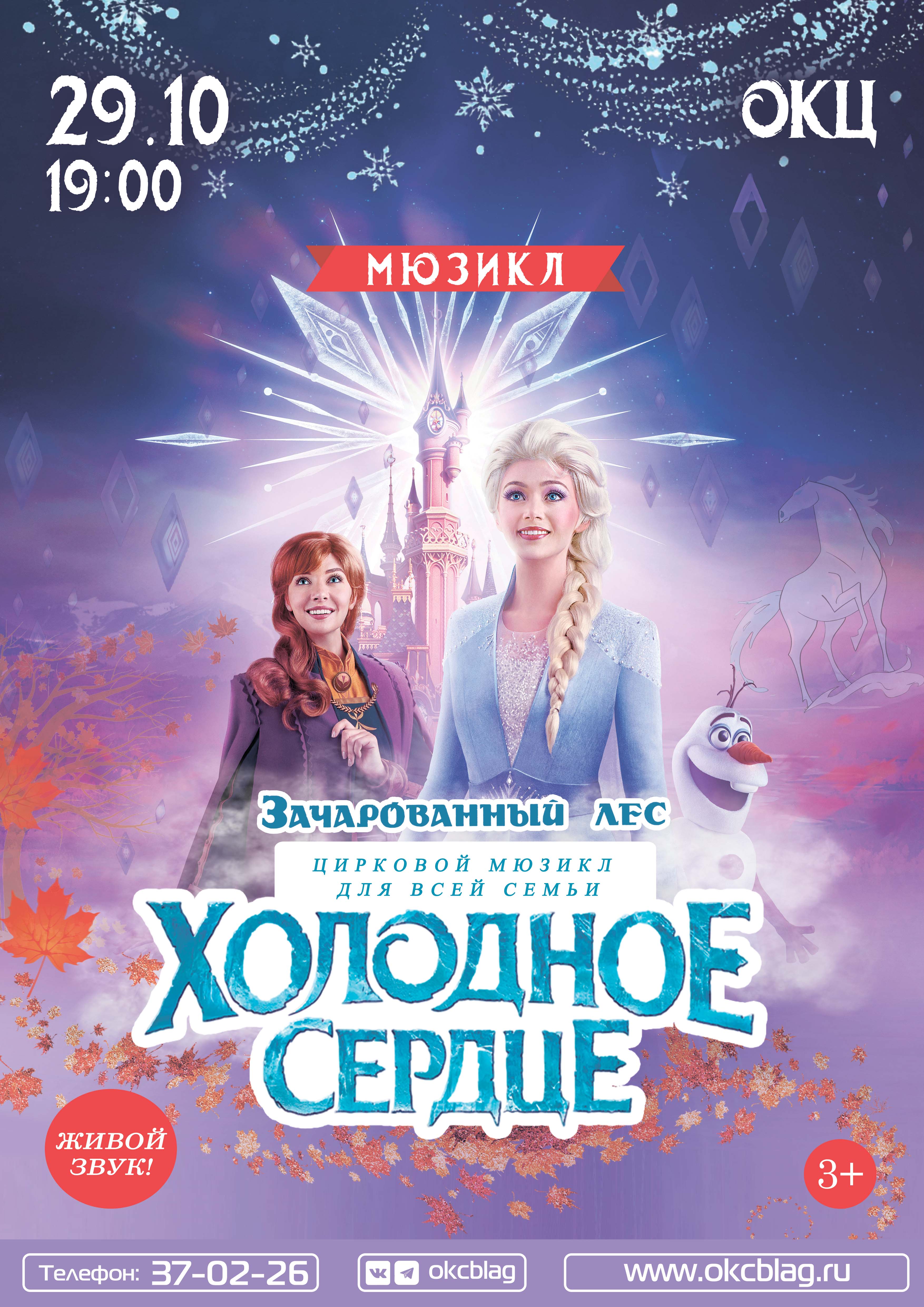 Музыкальный мюзикл «Холодное сердце 2»