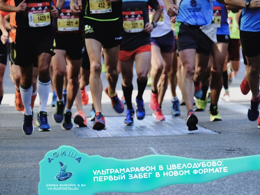 17 октября в кедровом парке Biotropika в посёлке Цвелодубово пройдёт…