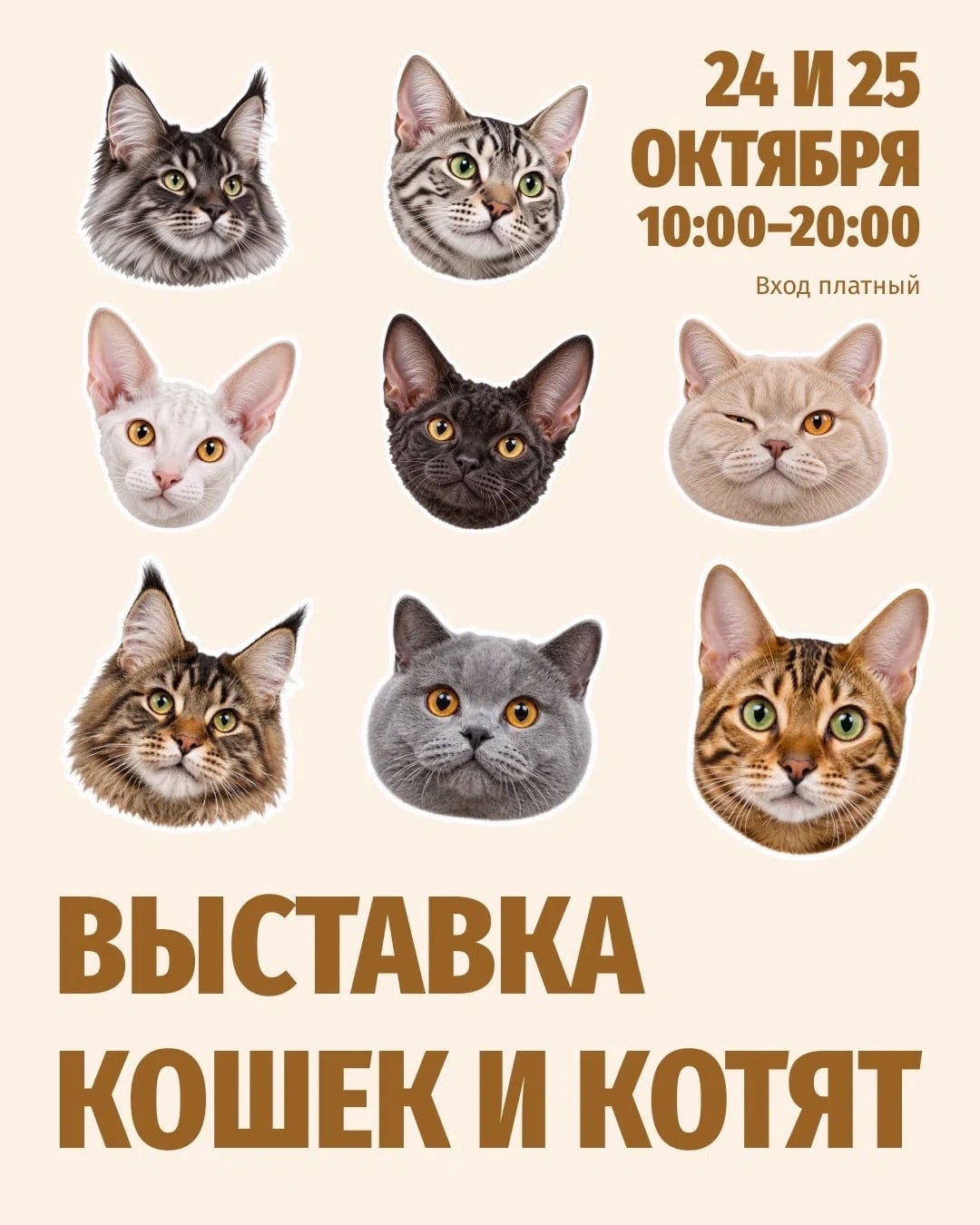 АФИША | ВЫСТАВКА кошек в ТРЦ «Фаворит»