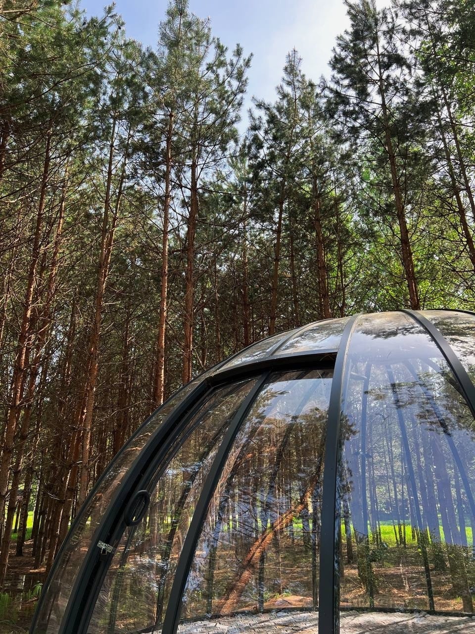 Заезд с 23 по 25 октября: «Осенний этюд: традиции и творчество»