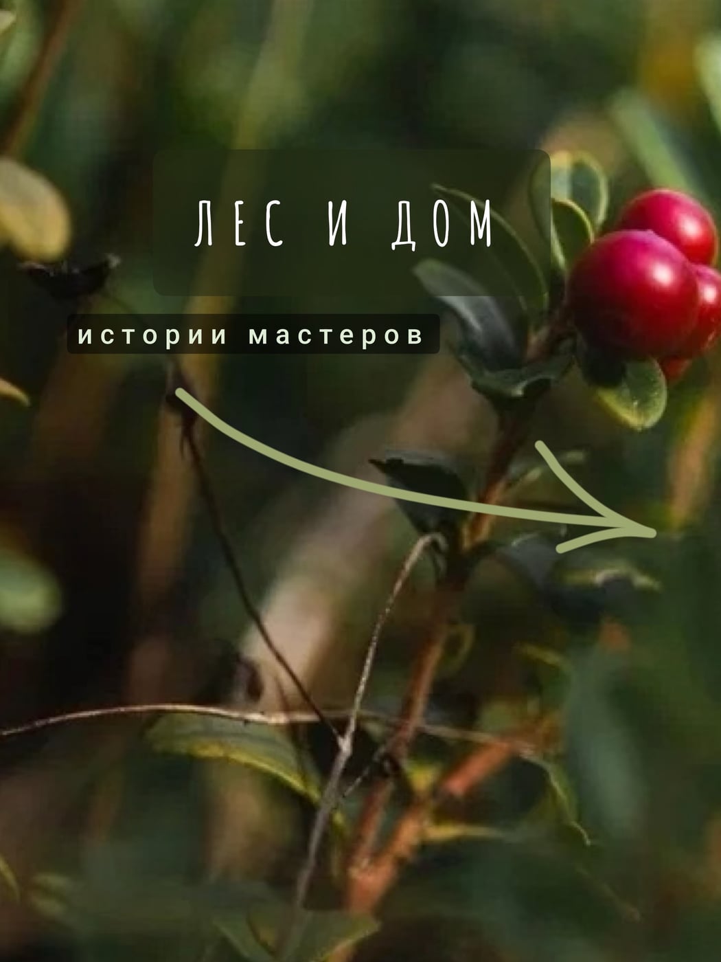 Выставка «Лес и Дом»