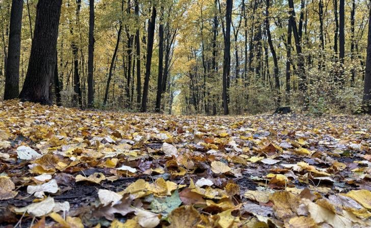 В Курске на "Полугоре" 24 октября состоится фестиваль "Магия октября"