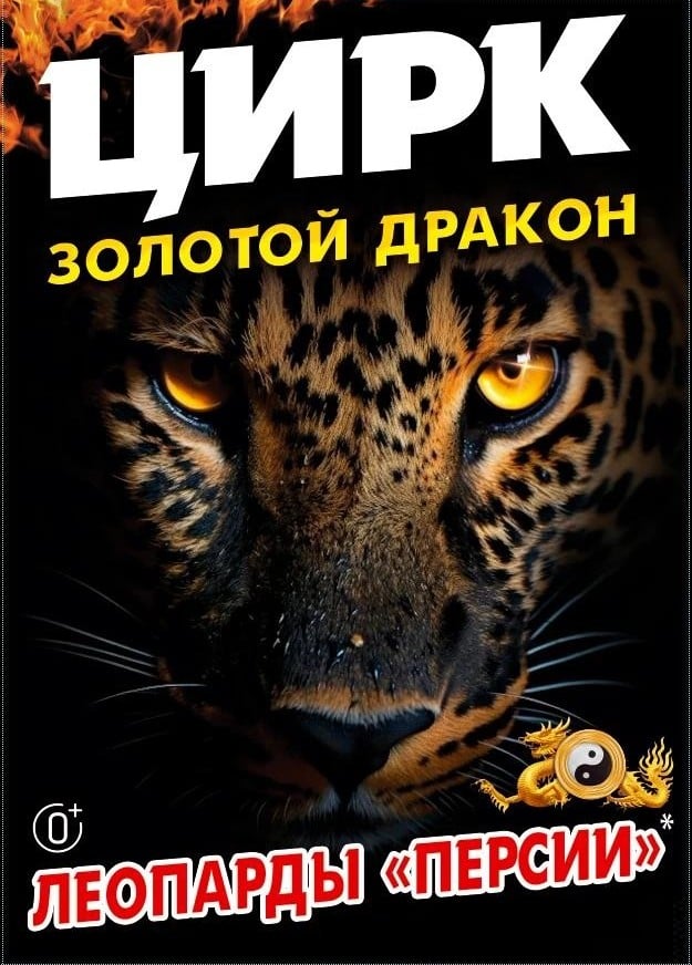 Цирк «Золотой Дракон», Новогорелово
