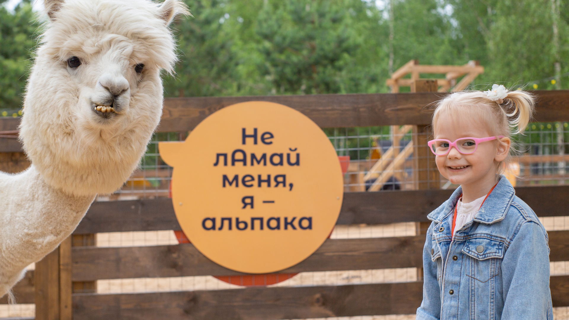 Экскурсия в будни в парк альпак Пача Мама