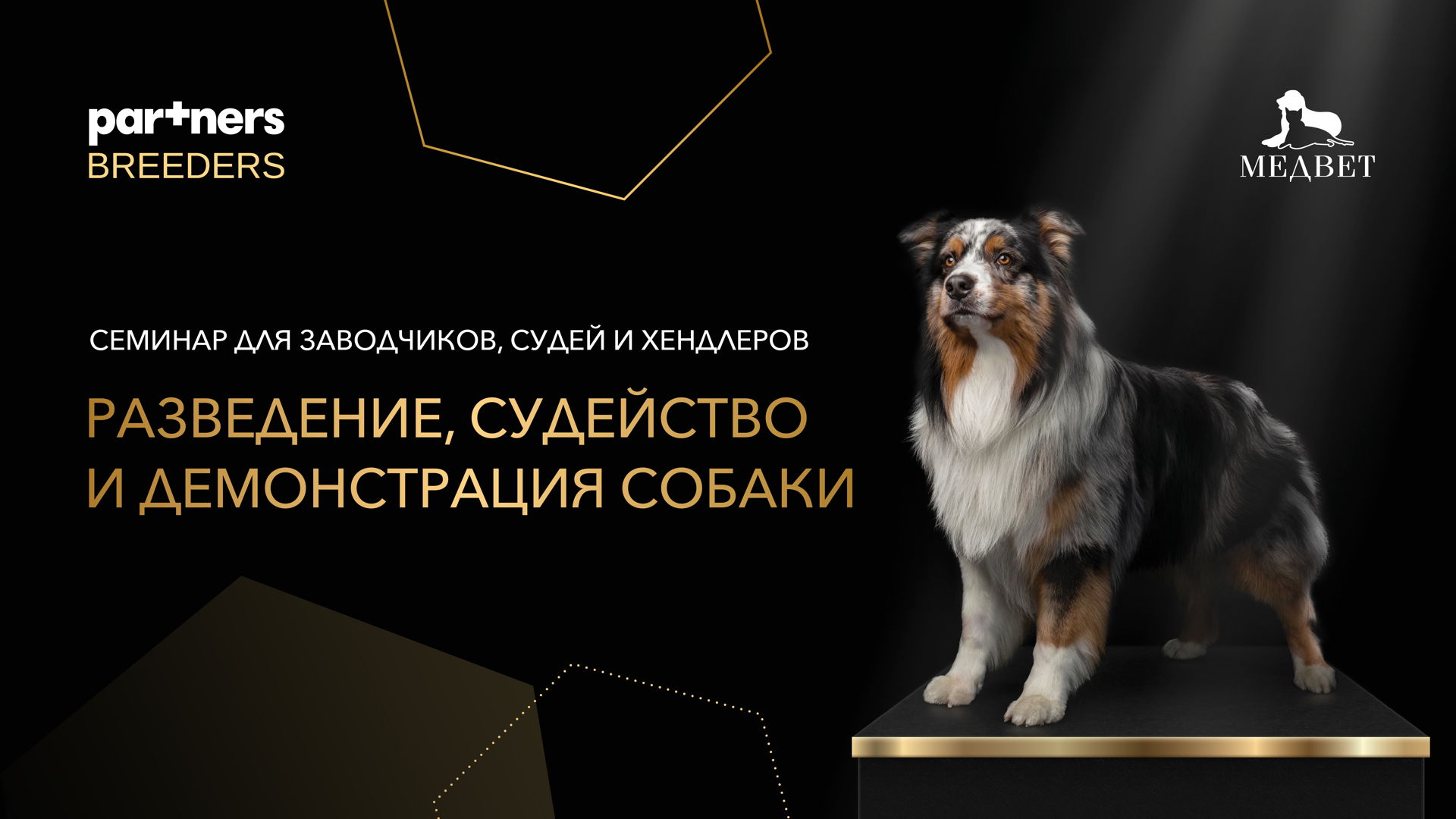 Семинар «PARTNERS BREEDERS» c РКФ в Новосибирске