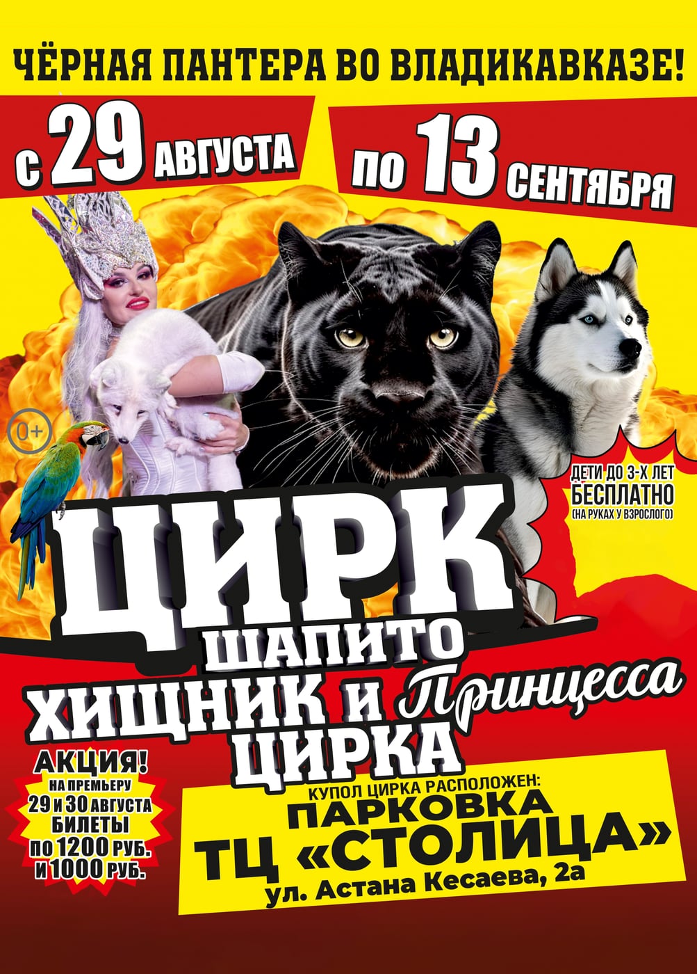 Цирк-шапито «Циркуслэнд». Шоу «Хищник и принцесса цирка»