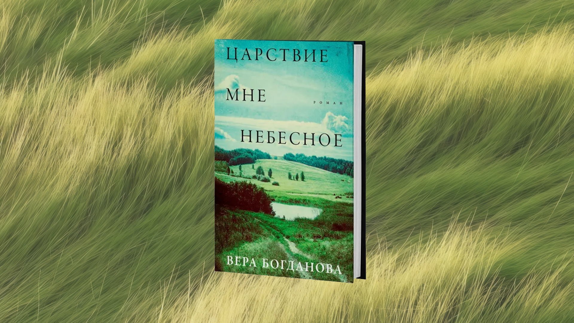 Книжный клуб «Слово-на-Дону», на фестивале «Чистое поле»