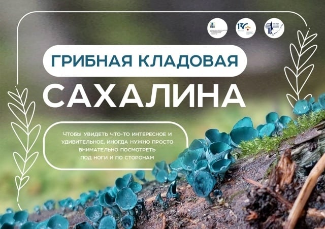 Выставка «Грибная кладовая Сахалина»