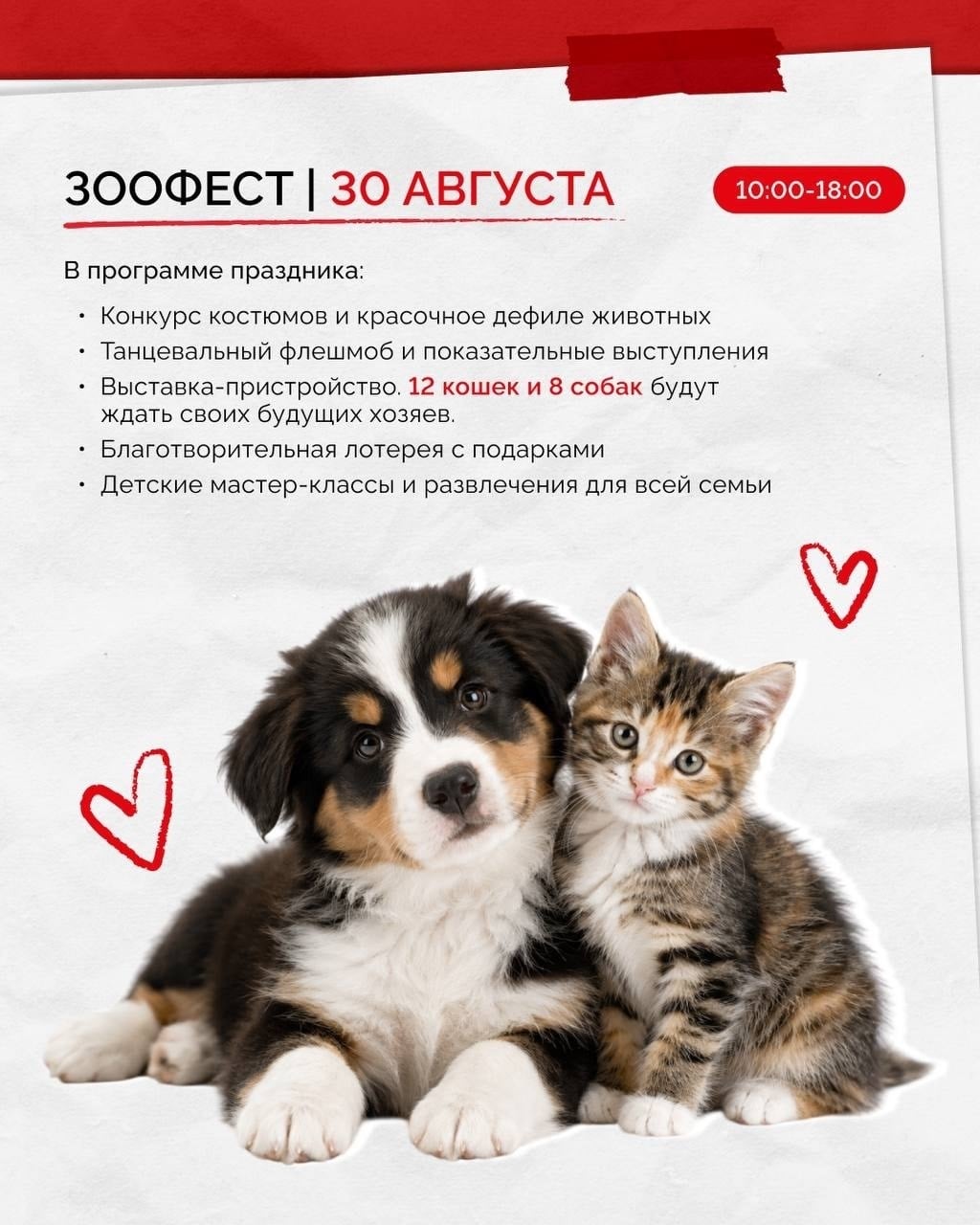 В Мытищах пройдет «Зоофест»
