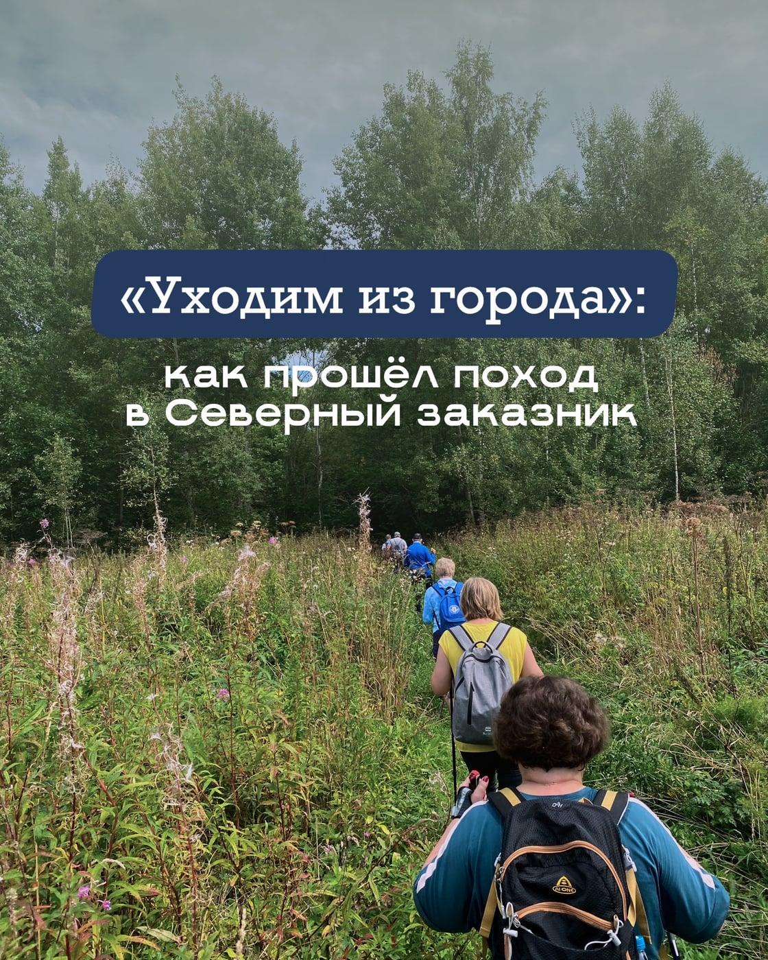 «Уходим из города»: как прошёл поход в Северный заказник