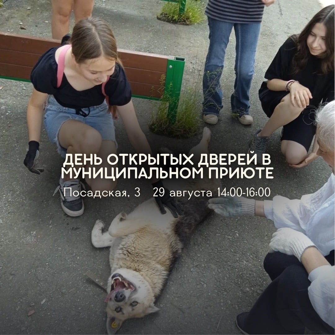 День открытых дверей в Муниципальнос приюте состоится уже 29 августа!