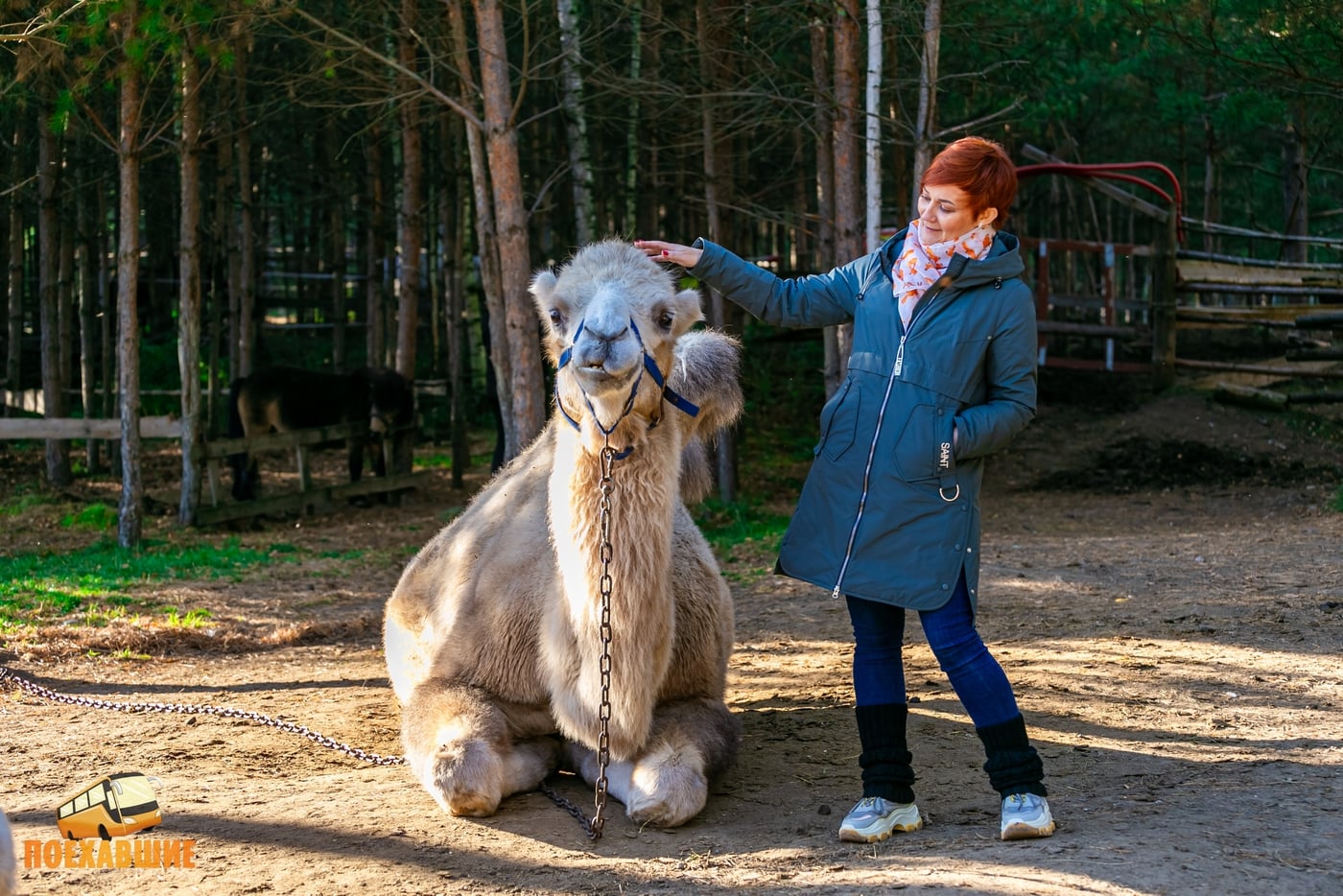 Скалы Семь братьев и конный клуб + катание на лошадях