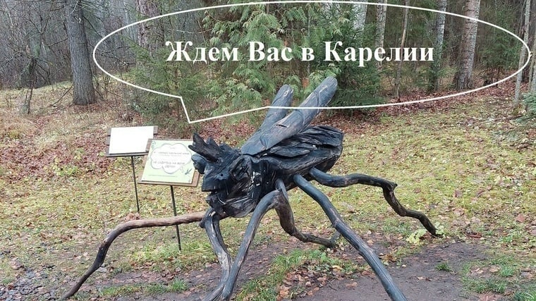 10.09 - 14.09. Очарование Карелии