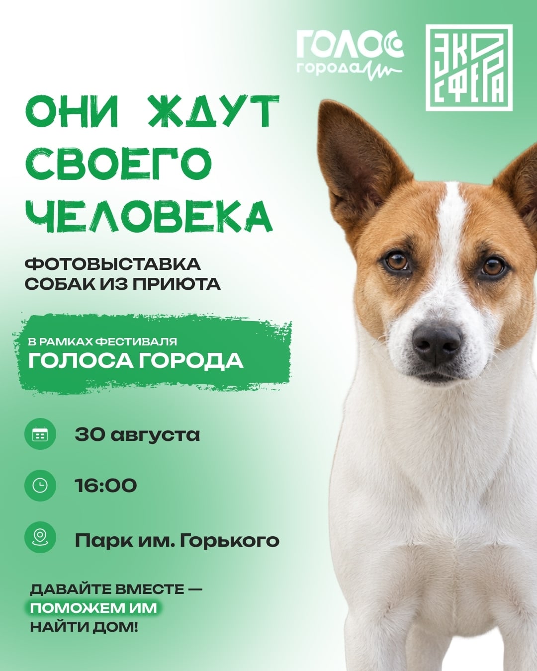 «Экосфера» на фестивале «Голоса Города»!