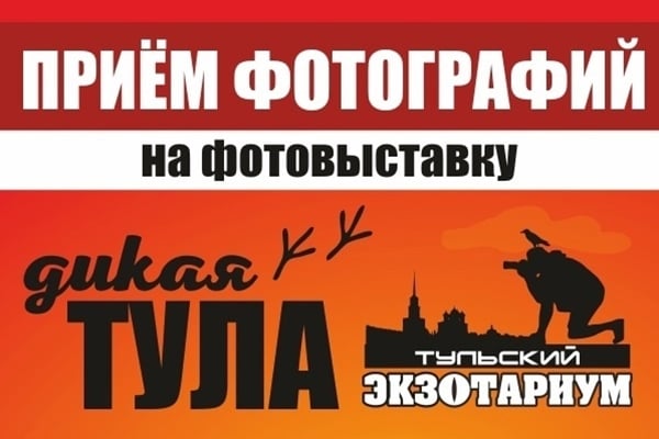 Выставка «Дикая Тула»