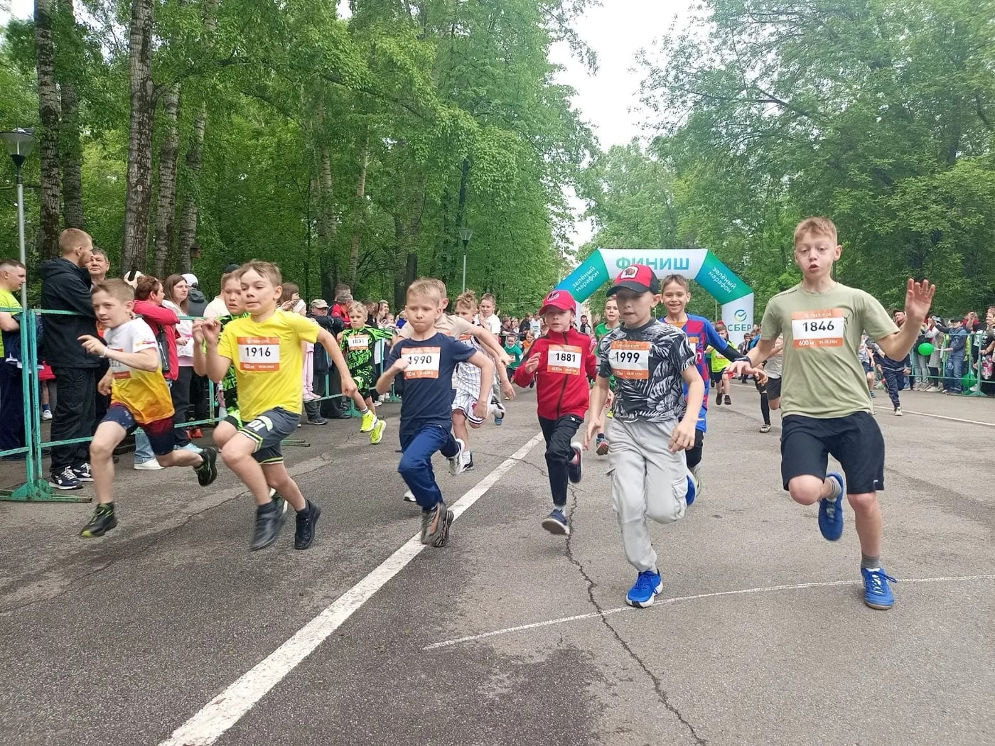 Кемерово – в числе самых экологически активных городов страны