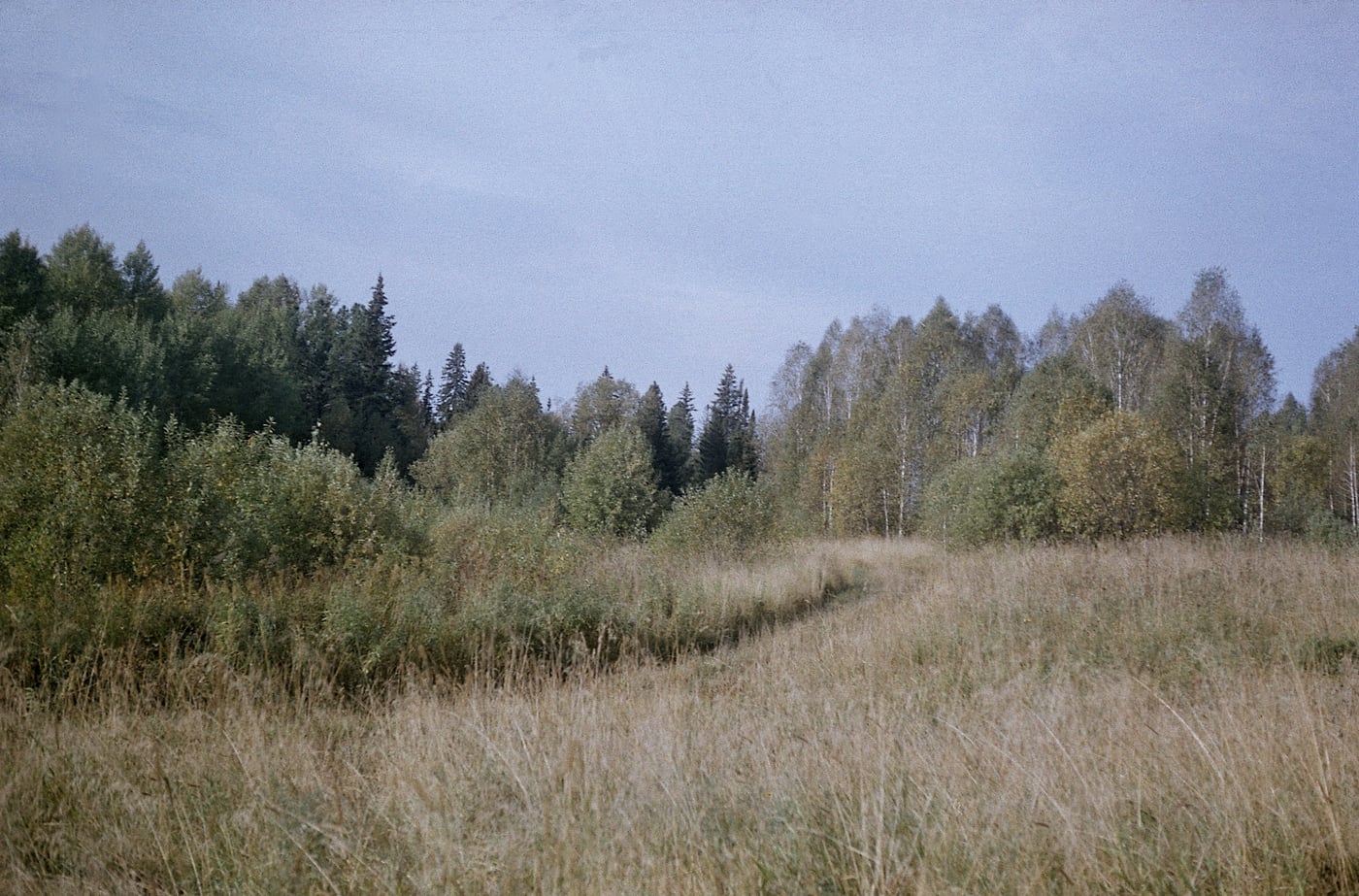 Я буду долго гнать
