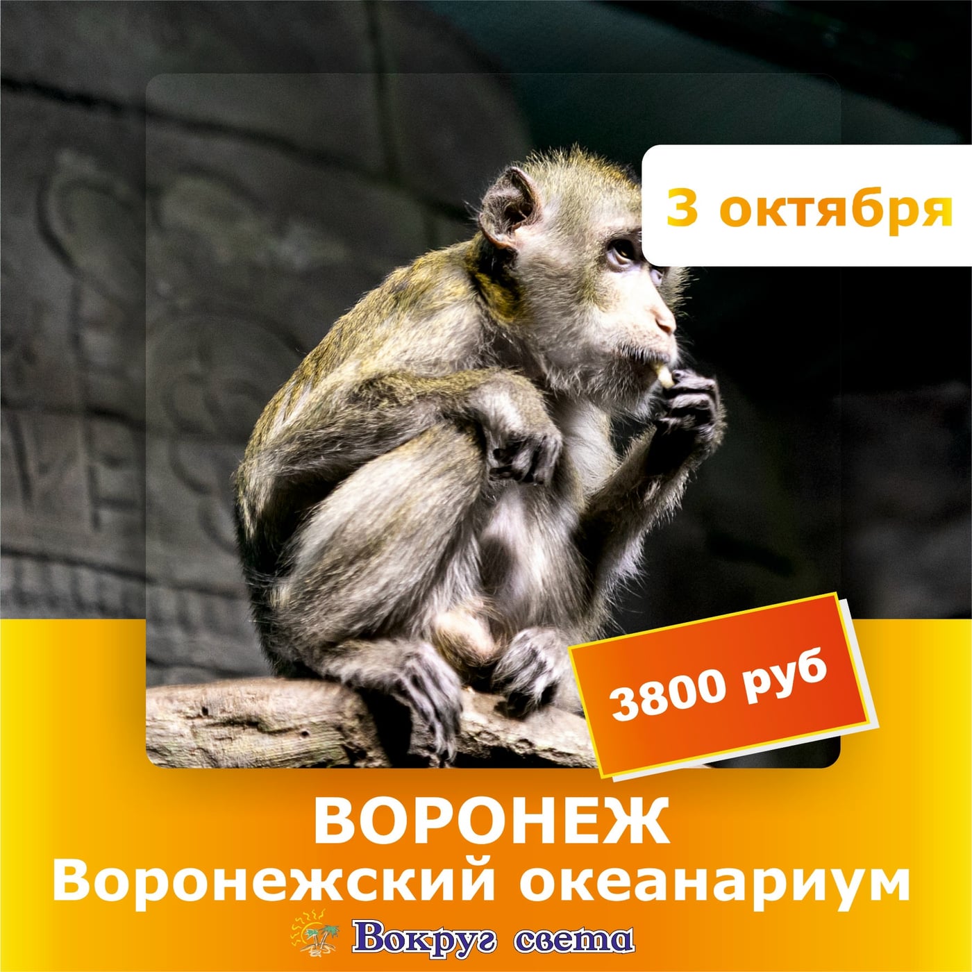 3 октября. Обзорная экскурсия по Воронежу и Воронежский океанариум