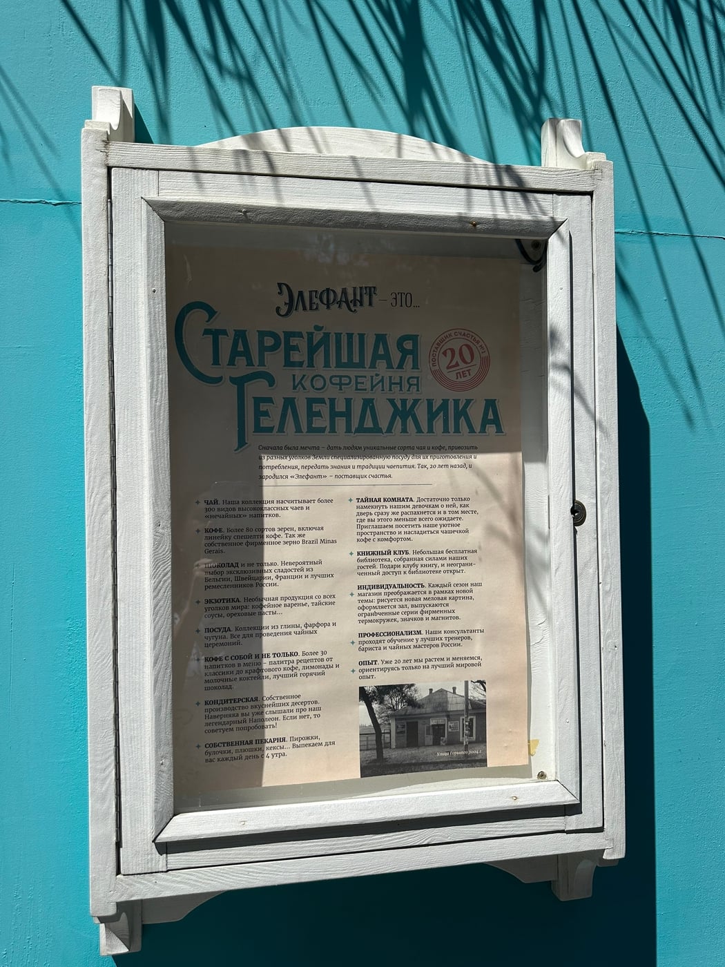 24 августа 2025 г