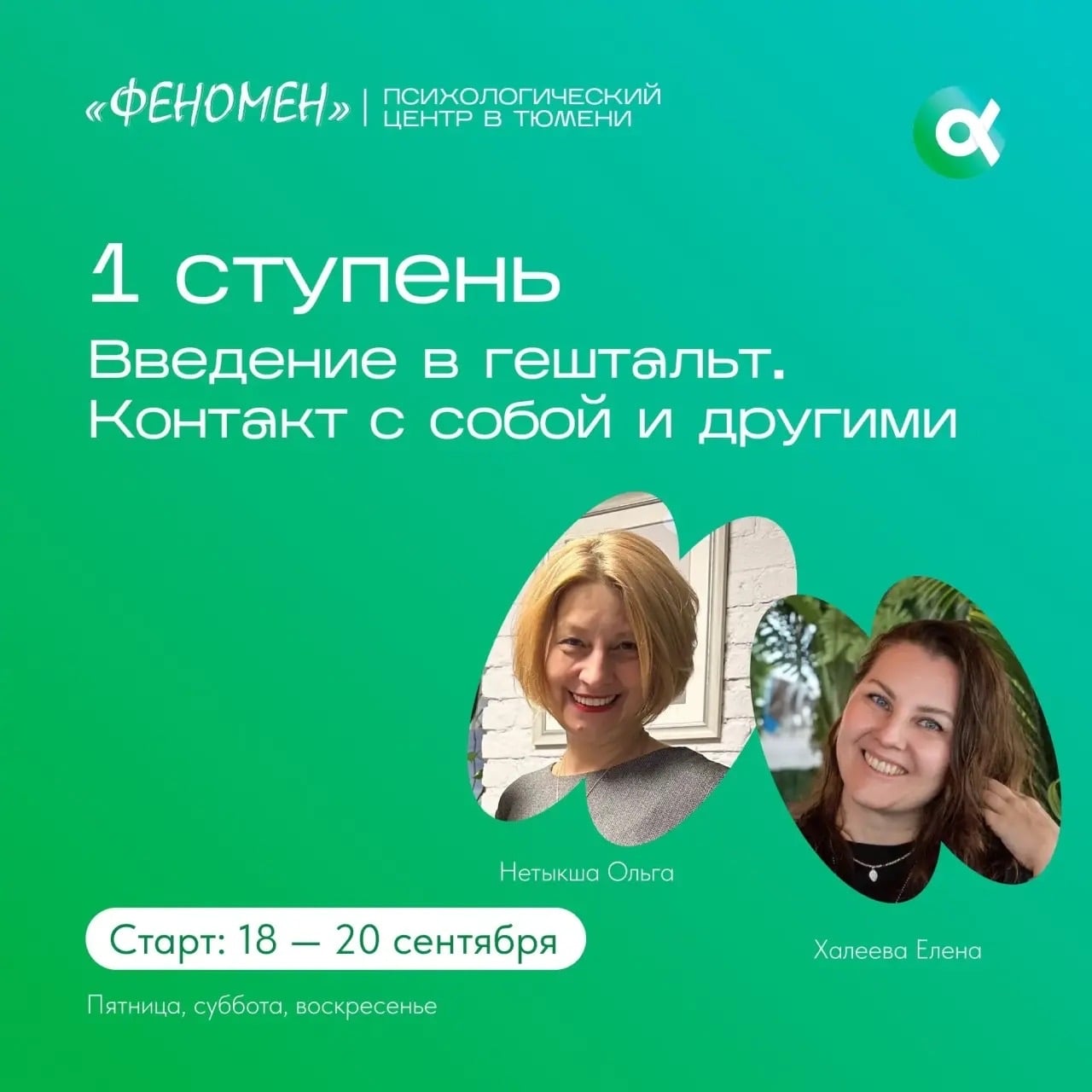 «Введение в гештальт. Контакт с собой и другими»