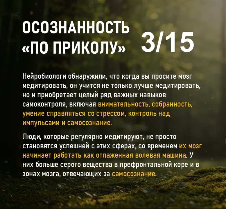 Осознанность "по приколу" 3/15