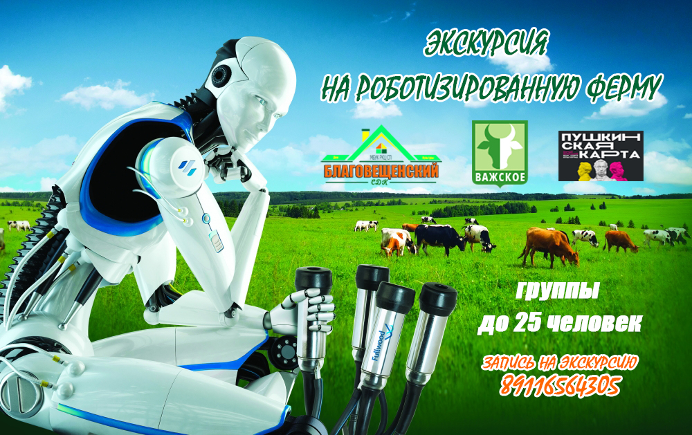 Экскурсия «Новый формат»