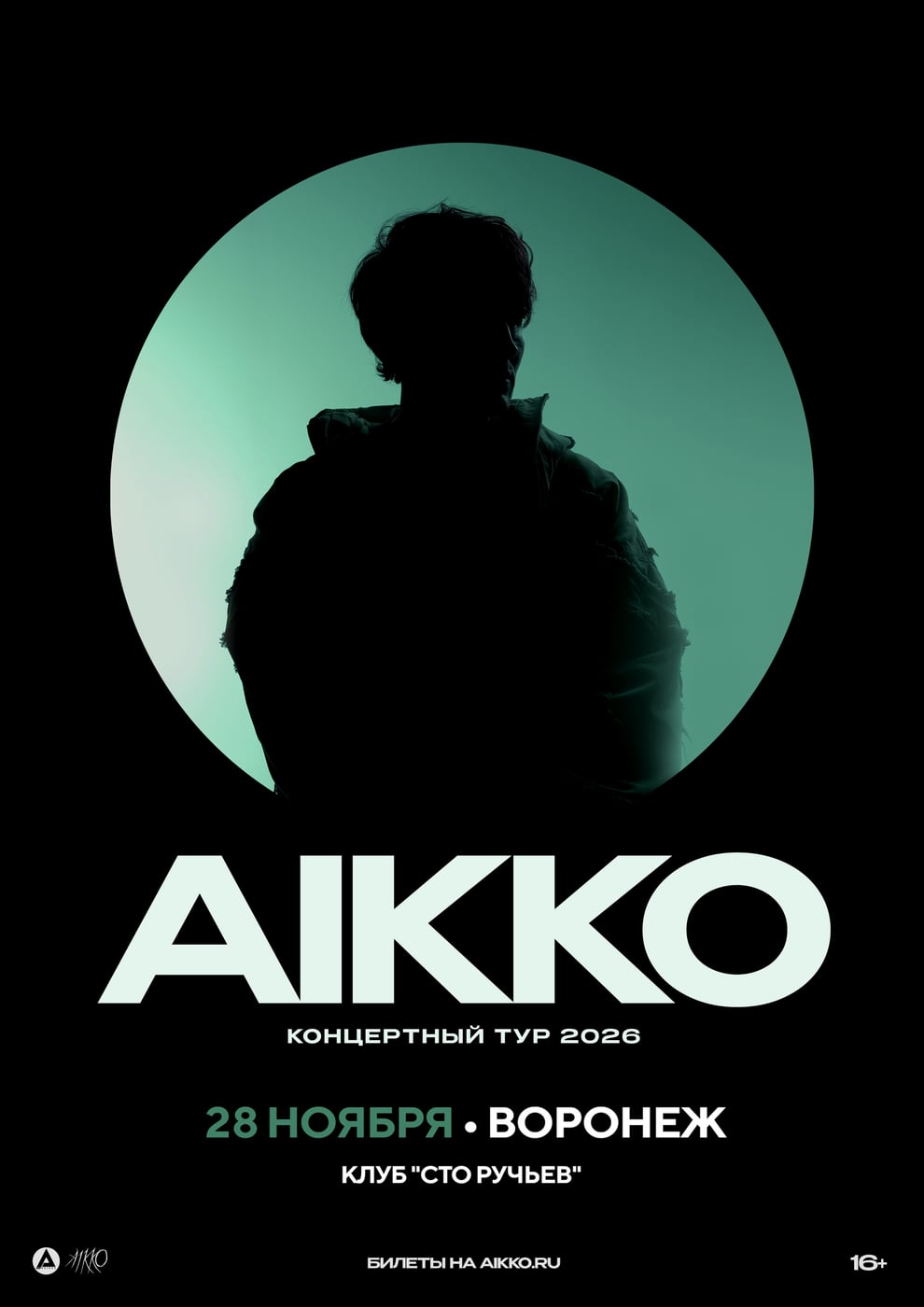 28 ноября 2026 aikko в Воронеже!