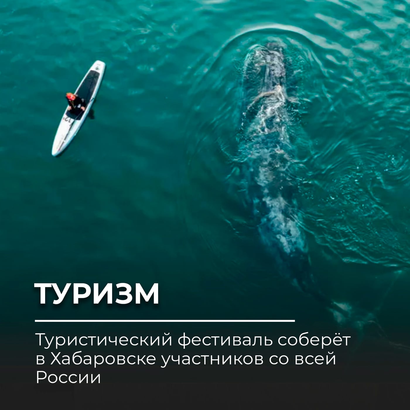Фестиваль «Амур. Живая линия»