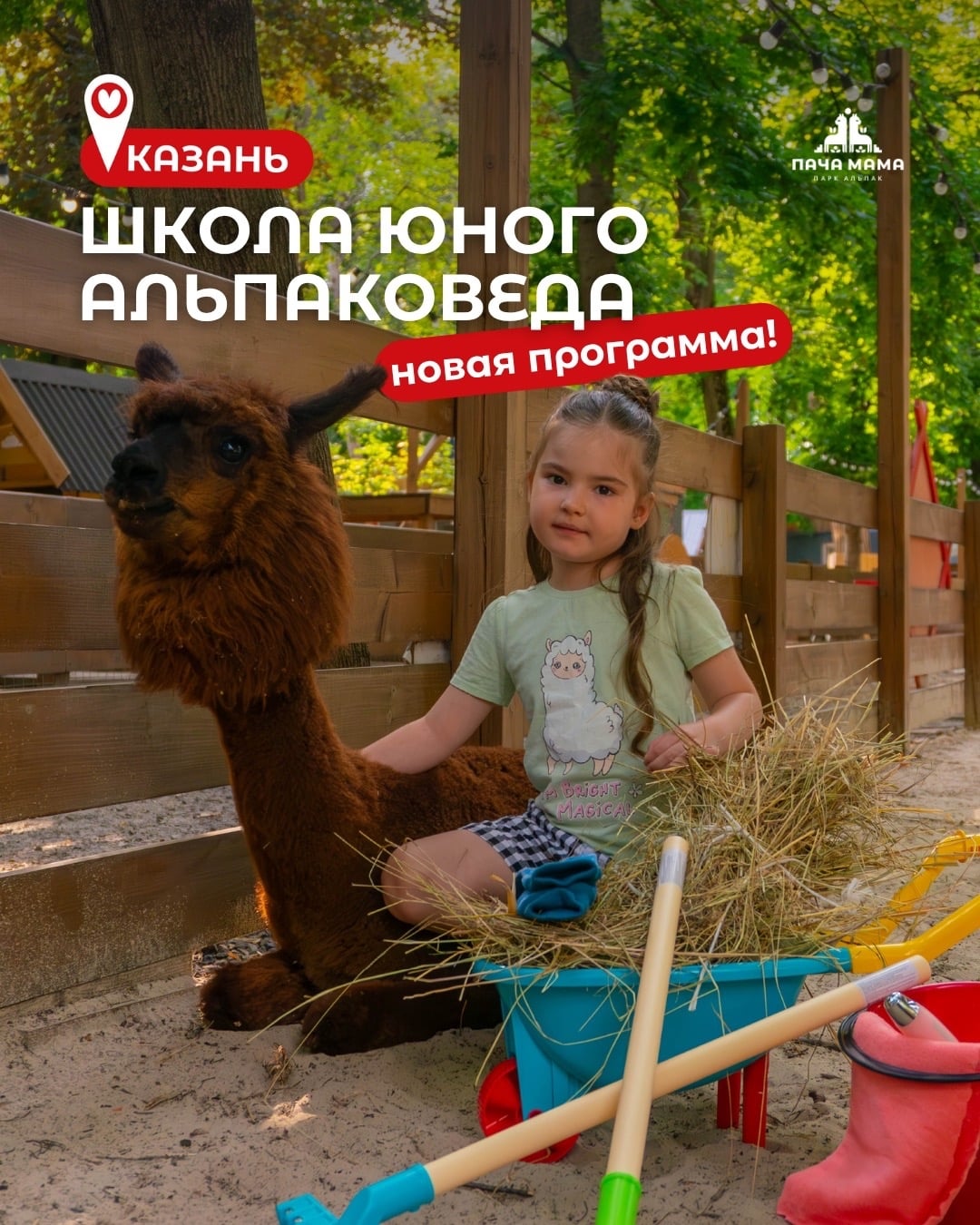 Впервые в Казани! Открываем набор в «Школу юного альпаковеда»!
