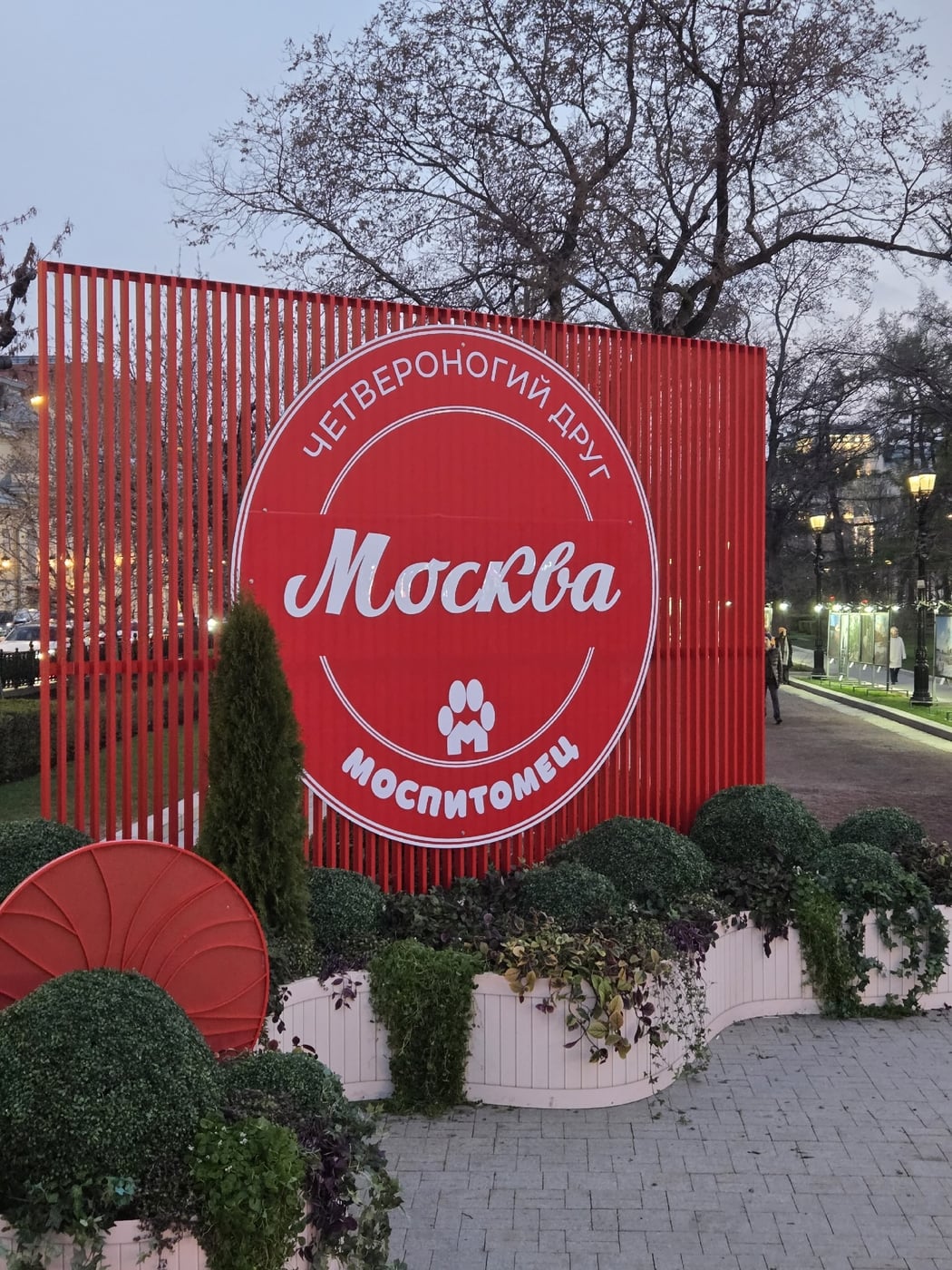 Фестиваль «Моспитомец × Четвероногий друг»