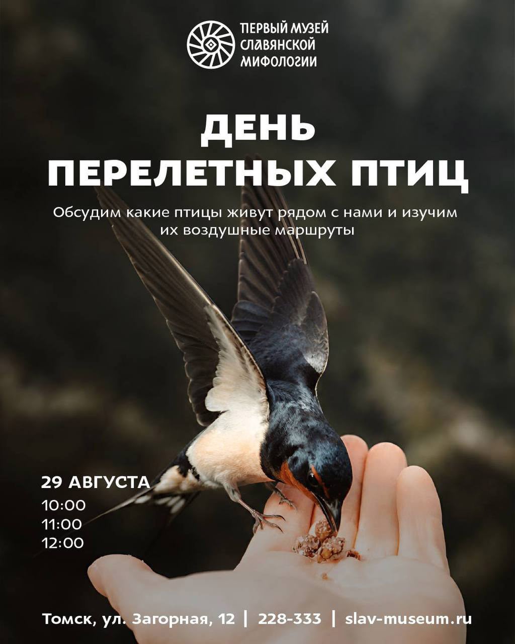 Лекция-встреча «День перелётных птиц» пройдет в Томске 29 августа