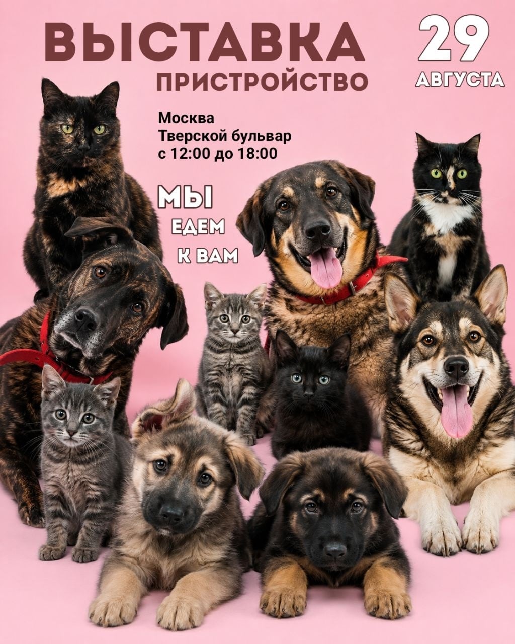 29 августа мы едем к вам!