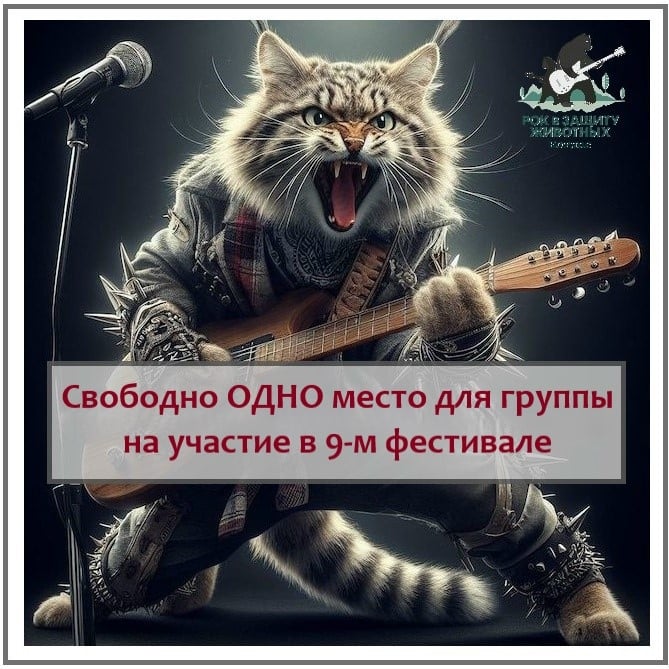 Фестиваль «РОК В ЗАЩИТУ ЖИВОТНЫХ. КОТЛАС»