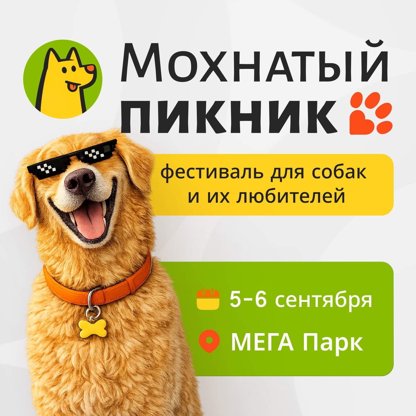 Приходите поддержать нас на Мохнатый Пикник