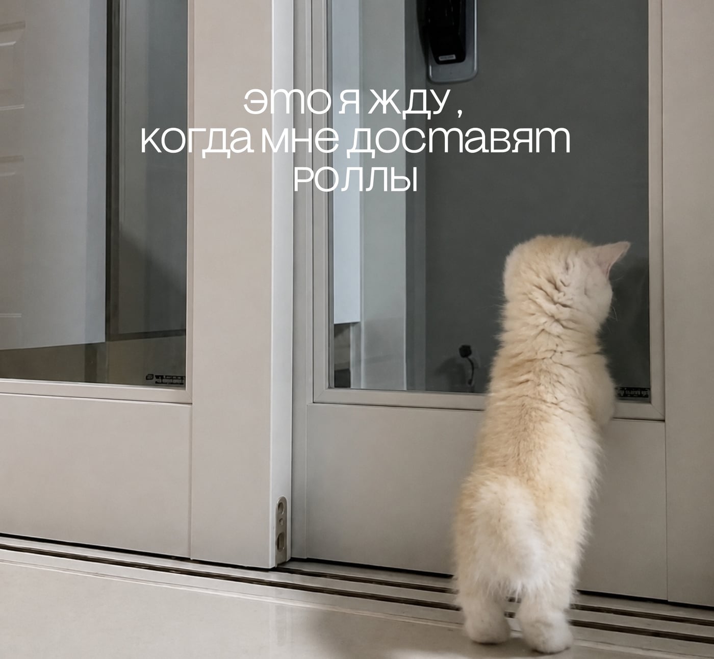 Покажи, как ты ждёшь наши роллы, и получи "Запеченный" сет!!