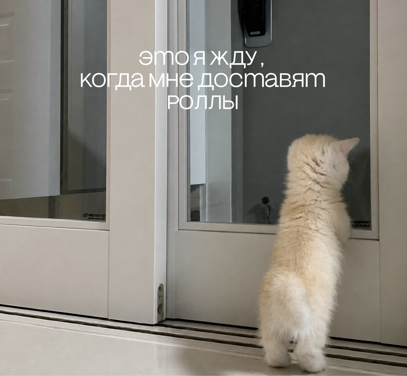 Покажи, как ты ждёшь наши роллы, и получи "Запеченный" сет!!