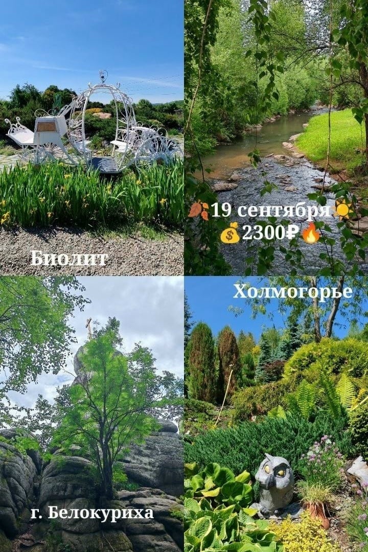 19 сентября едем за саженцами и красотой