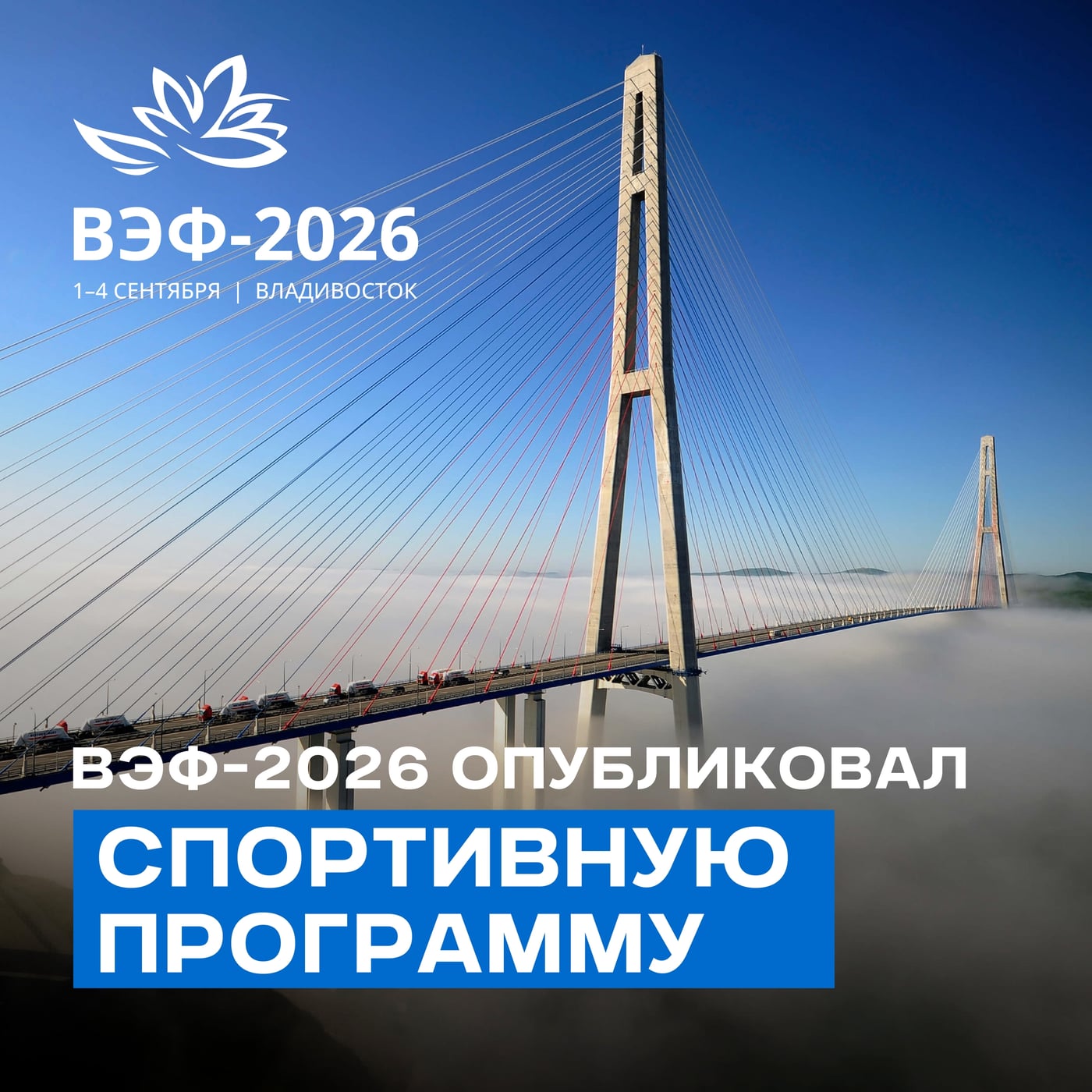 Спортивные игры ВЭФ-2026 пройдут во Владивостоке с 1 по 4 сентября