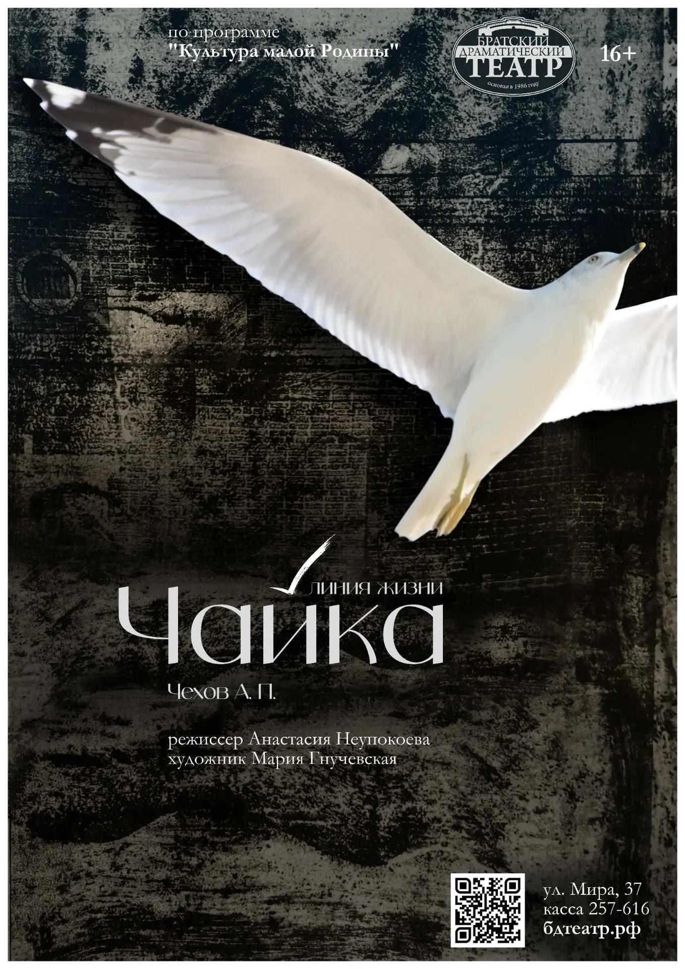 Чайка