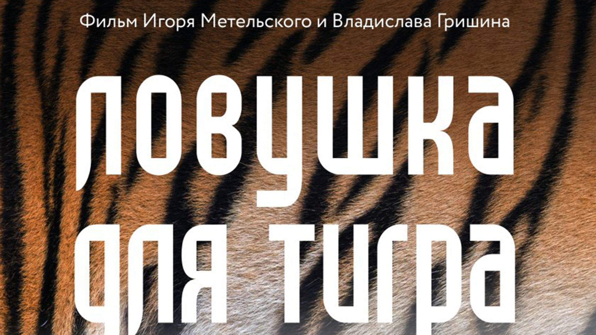 Игорь Метельский, Владислав Гришин "Ловушка для тигра"