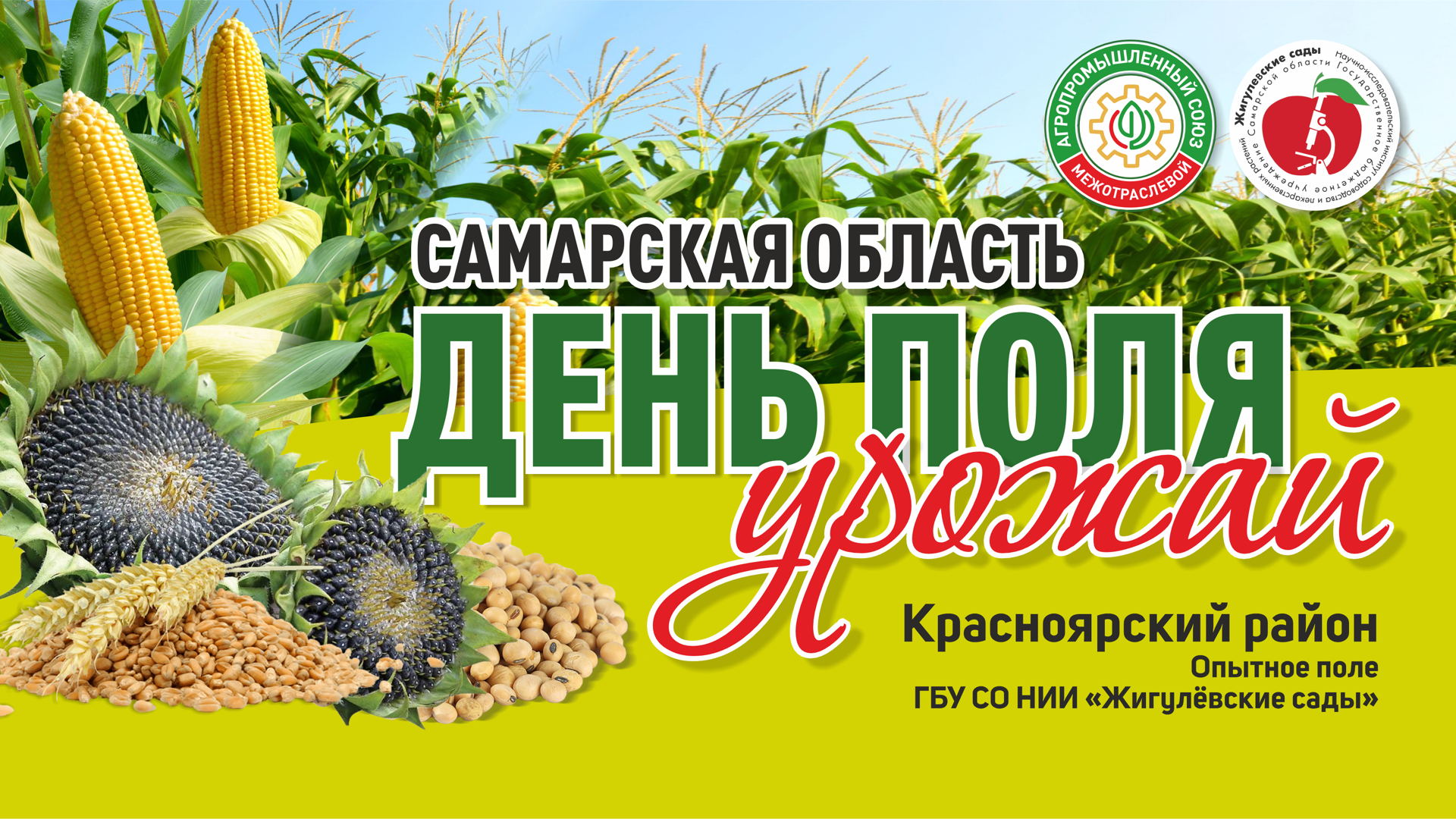Осенний день поля. Урожай
