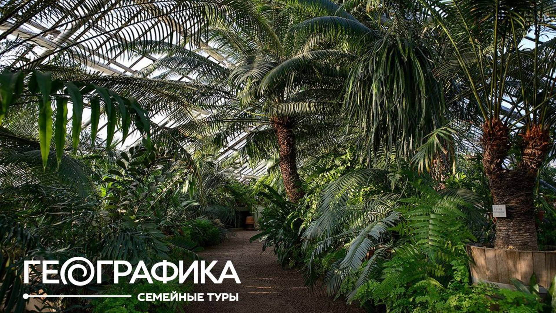 Москва. Выходной с биологом, программа «Тайны тропиков» 6+