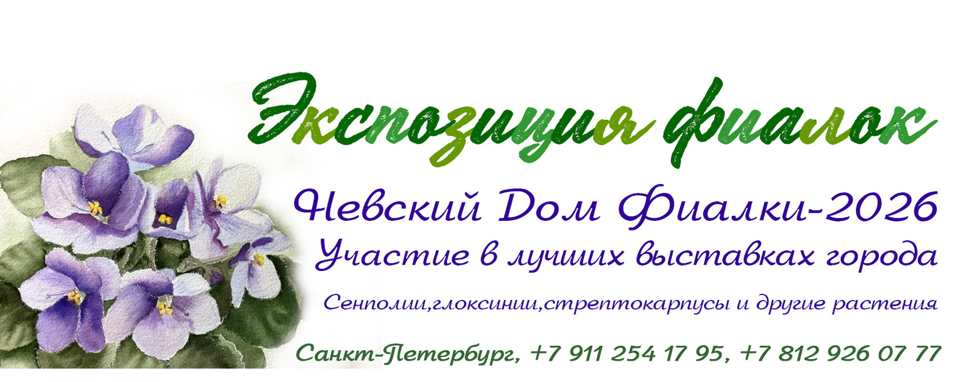 ЭКСПОЗИЦИЯ ФИАЛОК 12-13 сентября