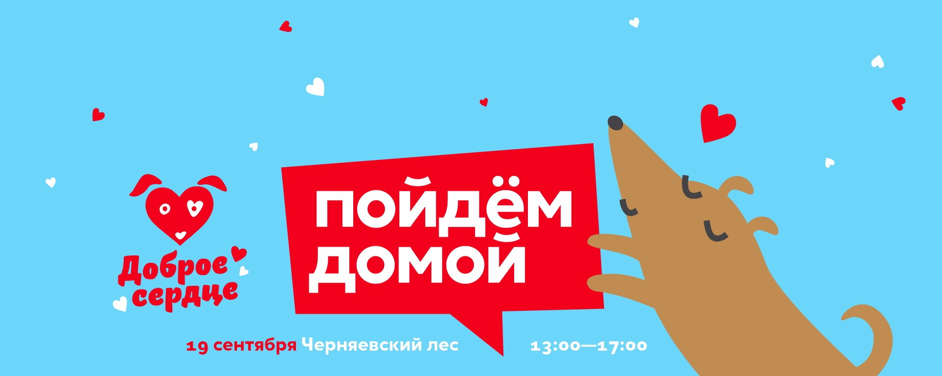 Пойдем домой! Выставка-пристройство 19 сентября